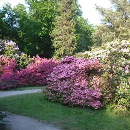דירה Kleine Ostseeforelle