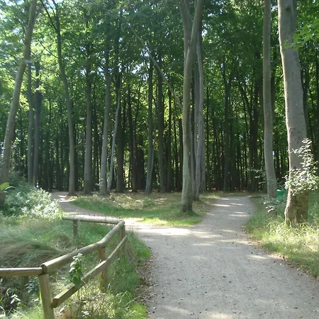 Kleine Ostseeforelle